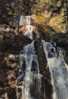 88-VOSGES CASCADE DU TENDON-N° 4411-A/0023 - Autres & Non Classés