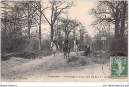 ABCP5-92-0392 - ROBINSON - Promenade à Cheval Dans Les Bois  - Le Plessis Robinson