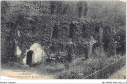 ABCP4-92-0313 - BELLEVUE - Ruines Du Château De Mme De Pompadour - Meudon