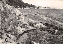 83-TOULON SUR MER-N° 4411-D/0225 - Toulon