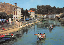 79-LE MARAIS POITEVIN-N° 4411-C/0129 - Altri & Non Classificati