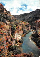 81-LES GORGES DU TARN-N° 4411-C/0097 - Autres & Non Classés