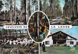 40-LA LANDE-N° 4411-B/0243 - Sonstige & Ohne Zuordnung