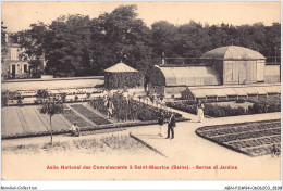 ABNP11-94-1029 - Asile-national Des Convalescents - A SAINT-MAURICE - Serres Et Jardins - Saint Maurice