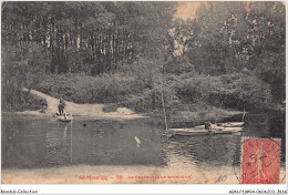 ABNP11-94-1013 - SAINT-MAURICE  -le Passeur - Saint Maurice