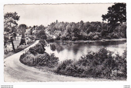 59 ANOR Vers Fourmies N°13 L'Etang De MILOURD Grande Cheminée En 1957 édit J. Mercier Hautmont - Fourmies