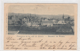 Panorama De La Ville De Renaix. * - Renaix - Ronse