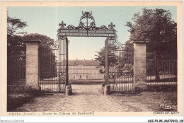 ADZP3-95-0239 - CHARS - Entrée Du Château Du Boulleaume - Chars