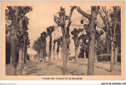 ADZP2-95-0097 - CORMEILLES-EN-PARISIS - L'allée Des Tilleuls Et Le Solarium - Cormeilles En Parisis