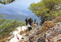 46-TRANSHUMANCE SUR LA DRAILLE-N° 4413-C/0361 - Andere & Zonder Classificatie