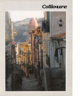 66-COLLIOURE-N° 4414-A/0105 - Collioure