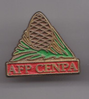 Pin's  AFP CENPA Pomme De Pin 7979JL - Cities