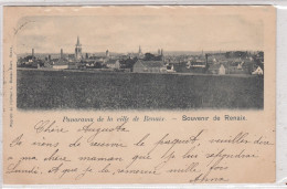 Panorama De La Ville De Renaix. * - Ronse