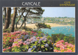 35-CANCALE-N° 4416-B/0389 - Cancale