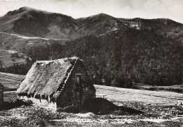 63-LE SANCY MONT DORE-N° 4417-C/0183 - Autres & Non Classés