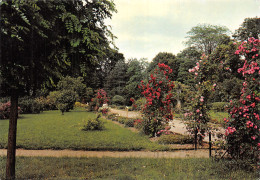 77-FONTAINEBLEAU-N° 4417-B/0303 - Fontainebleau