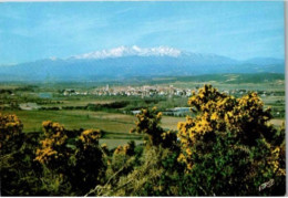 LE BOULOU. -  Station De Foie, Au Fond Le Canigou.   -    Non Circulée. - Other & Unclassified