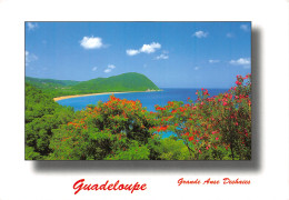 971-GUADELOUPE GRANDE ANSE DESHAIES-N° 4418-A/0161 - Autres & Non Classés