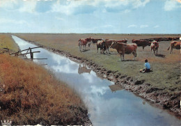 85-VENDEE UN COIN DU MARAIS-N° 4418-C/0077 - Autres & Non Classés