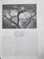 1924 PORT CROS Les Iles D Or Fort Estissac VALON DE LA SOLITUDE Hyeres   ILE DE BAGUEAU  PORQUEROLLES   Chateau D HélènE - Zonder Classificatie