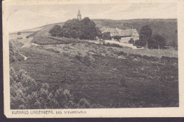 Deutsches Reich PPC Gast- & Kurhaus Lindenberg B. St. Peter, Bad. Schwarzwald Gebr. Metz, Tübingen SANCT PETER 1924? - St. Peter