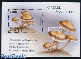 Mali 1996 Mushroom S/s, Subbalteatus, Mint NH, Nature - Mushrooms - Pilze