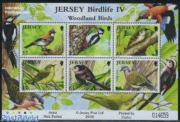 Jersey 2010 Birdlife 6v M/s, Mint NH, Nature - Birds - Jersey