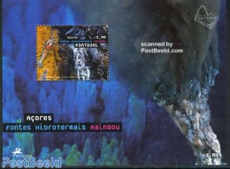 Azores 2006 Hydrothermal Sources S/s, Mint NH, History - Nature - Geology - Fish - Vissen