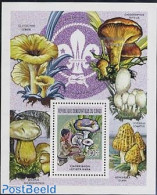 Congo Dem. Republic, (zaire) 2005 Scouting S/s, Mushroom, Mint NH, Nature - Sport - Mushrooms - Scouting - Pilze