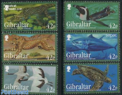 Gibraltar 2013 Endangered Animals 6v, Mint NH, Nature - Animals (others & Mixed) - Birds - Cat Family - Crocodiles - F.. - Peces