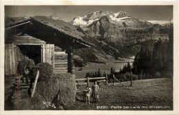 Partie Bei Lenk - Lenk Im Simmental