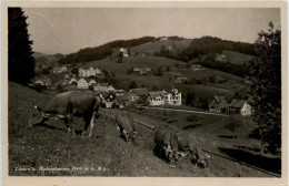 Lachen Walzenhausen - Walzenhausen