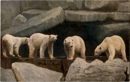 Hamburg - Eisbären - Polarbear - Bären
