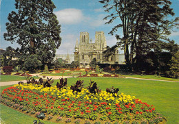 50 - Avranches - La Cathédrale Et Le Jardin Des Plantes - Avranches