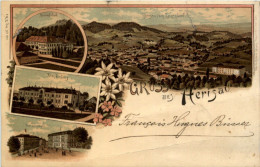 Gruss Aus Herisau - Litho - Herisau