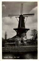 Leiden - Molen - Leiden