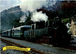 Wälderbähnle - Eisenbahn - Trenes