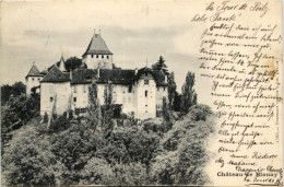 Chateau De Blonay - Blonay - Saint-Légier