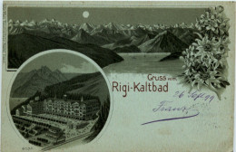 Gruss Vom Rigi Kaltbad - Litho - Autres & Non Classés