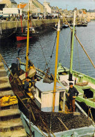 50 - Saint Vaast La Hougue - Les Quais Au Retour De La Pêche Aux Moules - Saint Vaast La Hougue