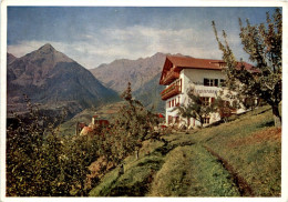 Schenna Bei Meran - Pension Hohenwart - Merano