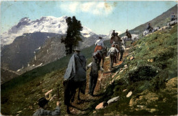 Wandern - Alpinismus, Bergsteigen