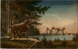 Jagdschloss Moritzburg - Hirsch - Dresden