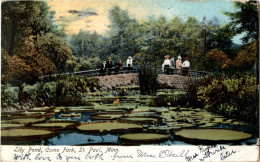 St. Paul - Lily Pond - St Paul