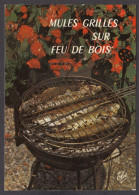 095349/ Mules Grillés Sur Feu De Bois - Recettes (cuisine)