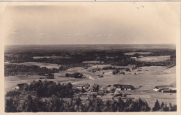 View From Munamagi. - Estonia