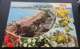 Nice - La Côte D'Azur Inoubliable - Ed. A. Rion, Nice - Sonstige & Ohne Zuordnung