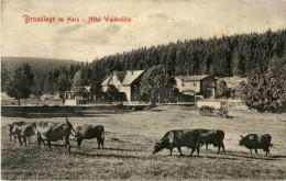 Braunlage - Hotel Waldmühle - Braunlage