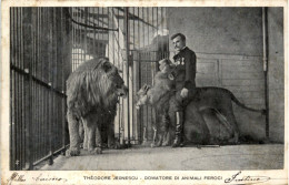 Theodore Jeonescu - Lion - Zirkus