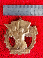 ORIGINAL CZECH BADGE WW2, TYRSUV ODZNAK ZDATNOSTI+VINTAGE+BRONZE+RARE NUMBERED+BADGE - Asociaciones